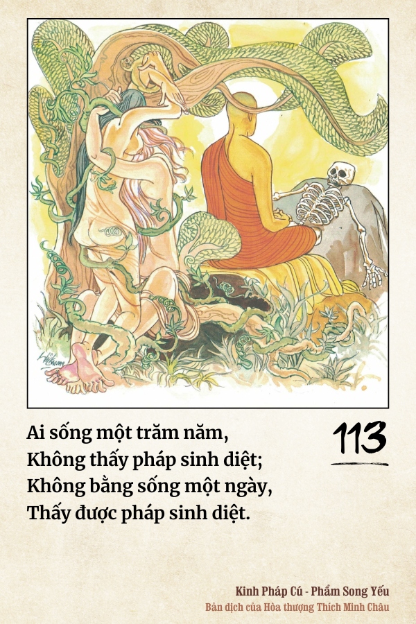 Pháp cú 113