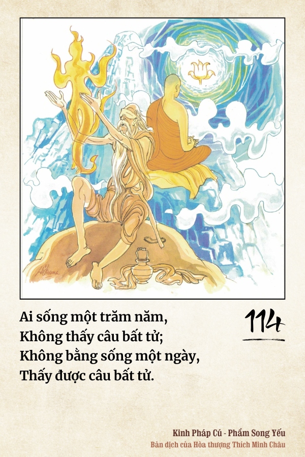Pháp cú 114