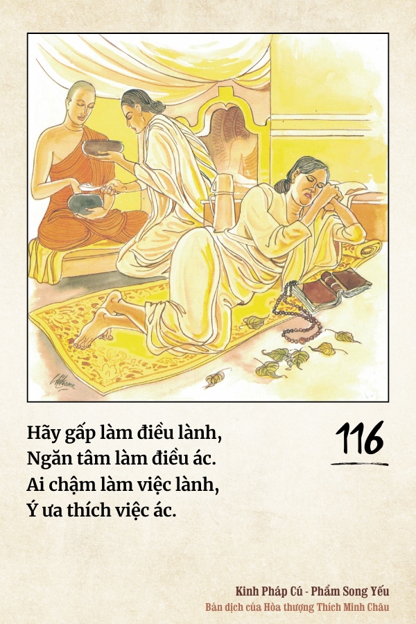 Pháp cú 116