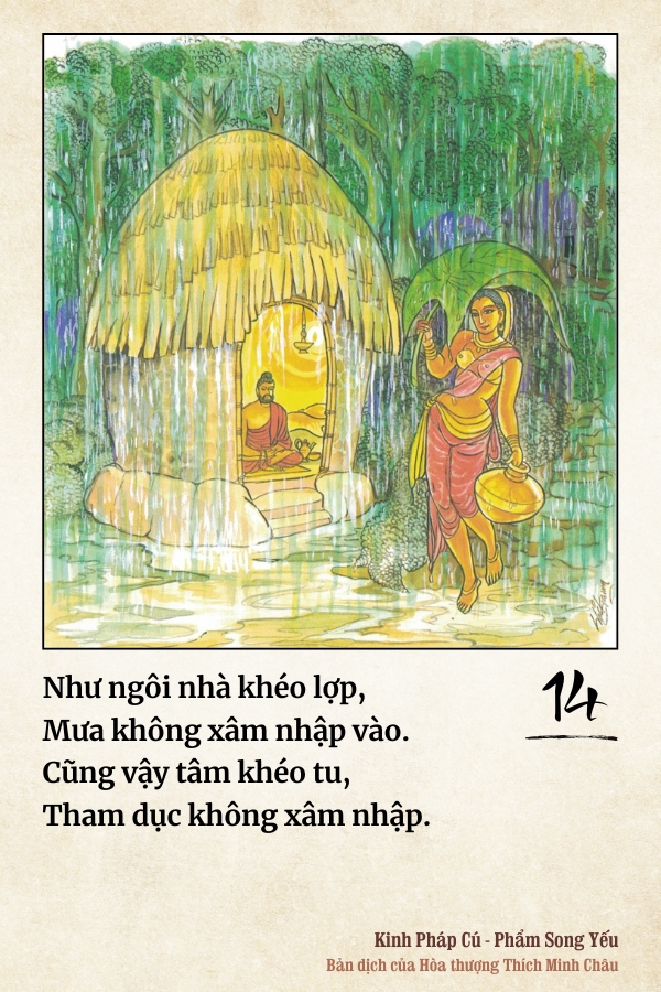 Pháp cú 14