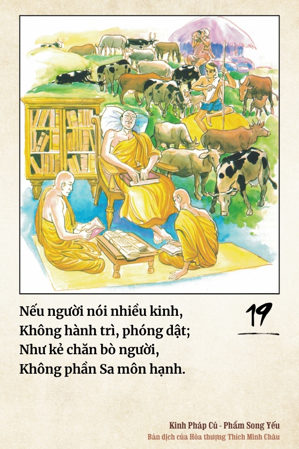 Pháp cú 19