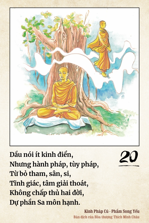 Pháp cú 20
