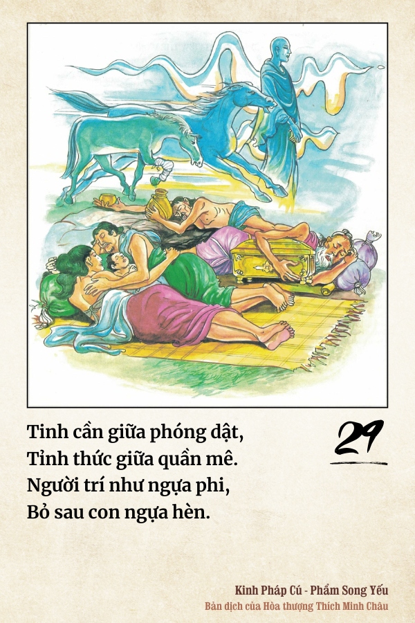Pháp cú 29