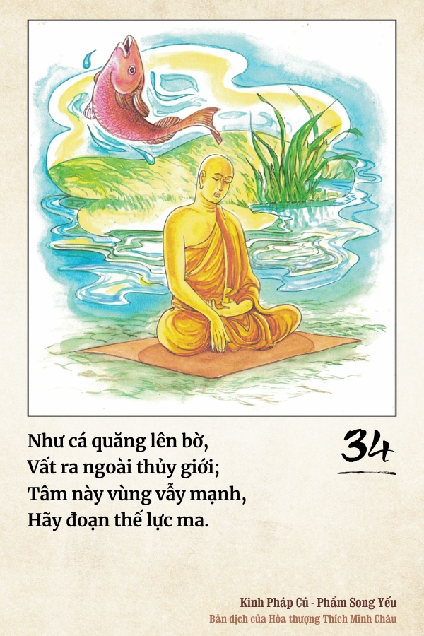 Pháp cú 34