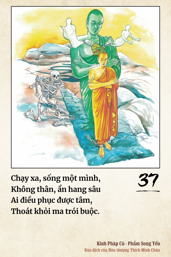 Pháp cú 37