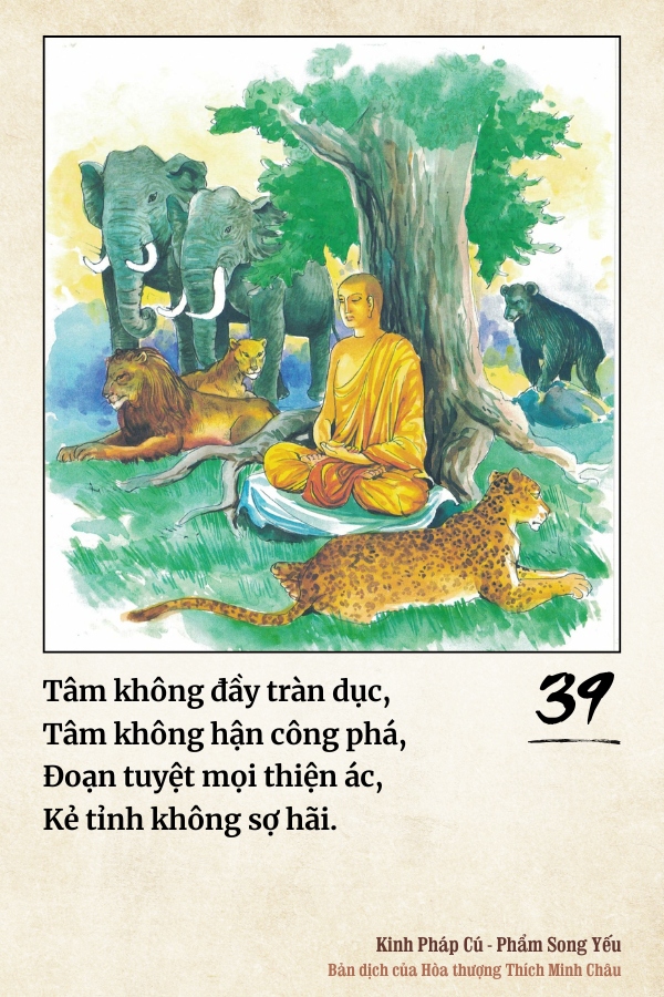 Pháp cú 39