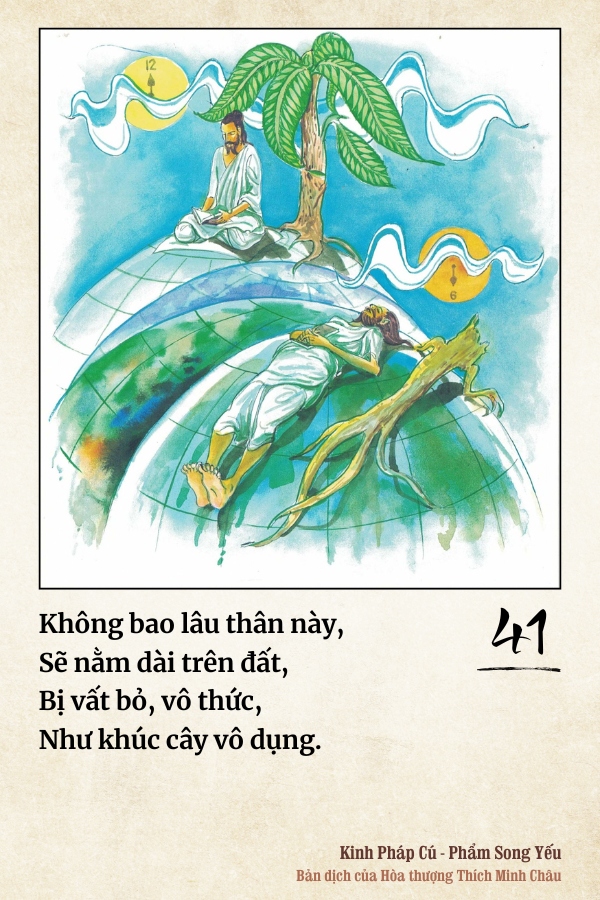 Pháp cú 41