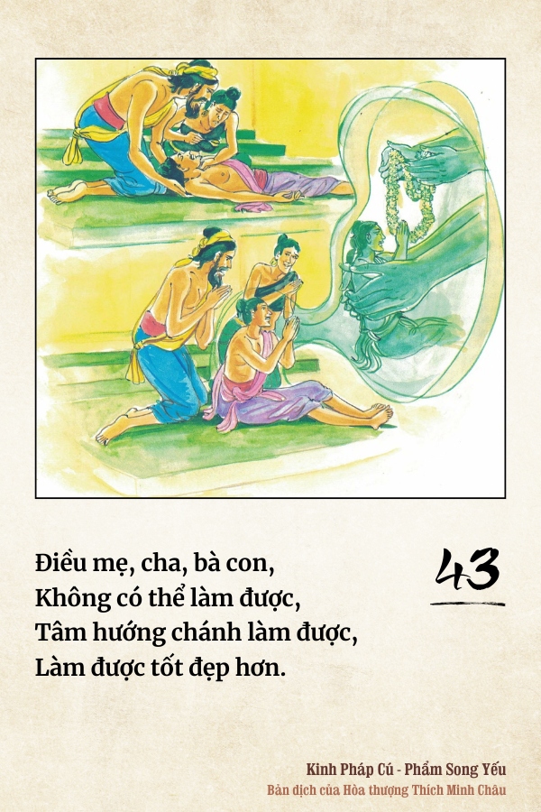 Pháp cú 43