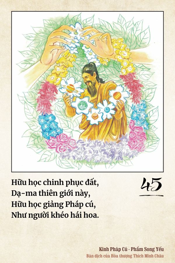 Pháp cú 45