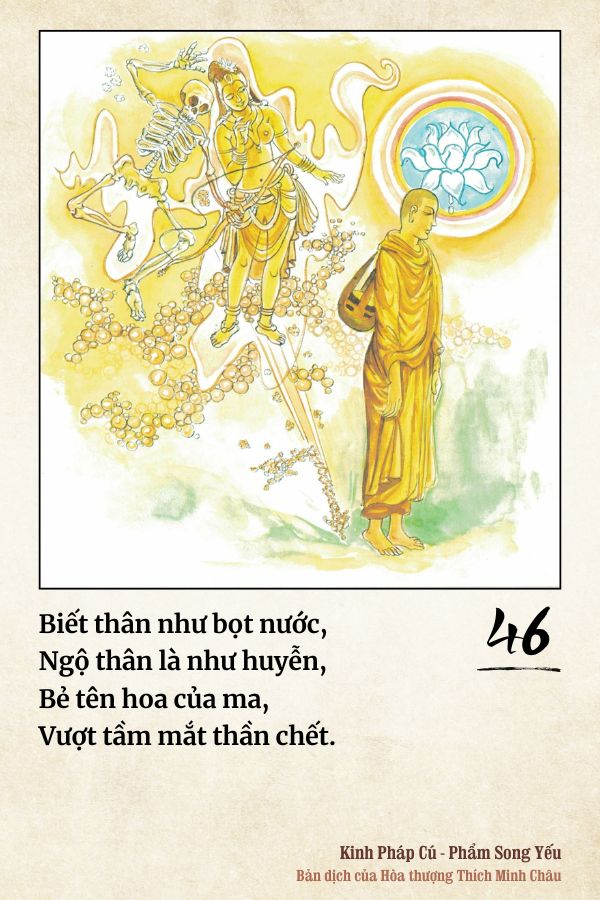 Pháp cú 46
