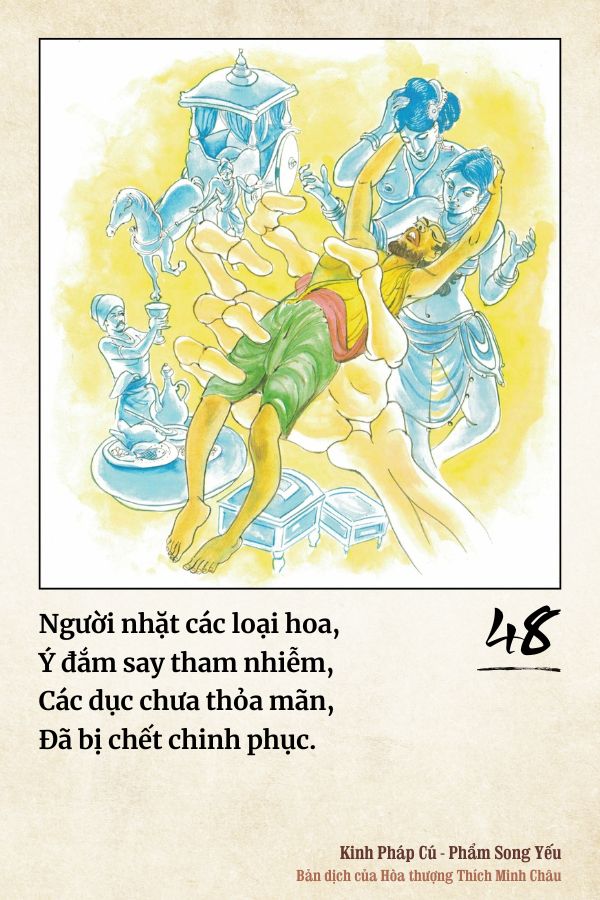 Pháp cú 48