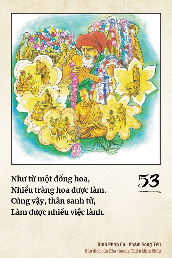 Pháp cú 53