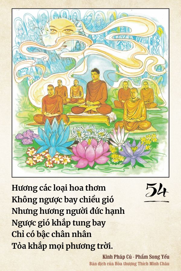 Pháp cú 54