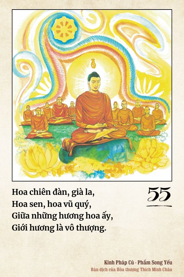 Pháp cú 55